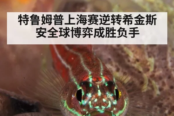 特鲁姆普上海赛逆转希金斯 安全球博弈成胜负手